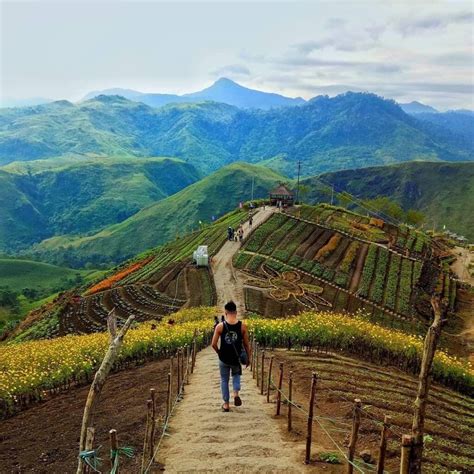 Viewpoint Travel and Tours .